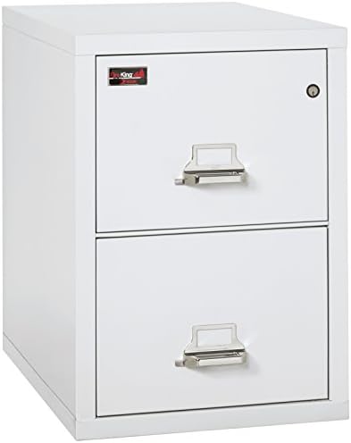 Вертикален метален шкаф шкаф FireKing, горенето на 2 часа (2 чекмеджета с размер на писмо, удароустойчив, водоустойчив), 29,9 В